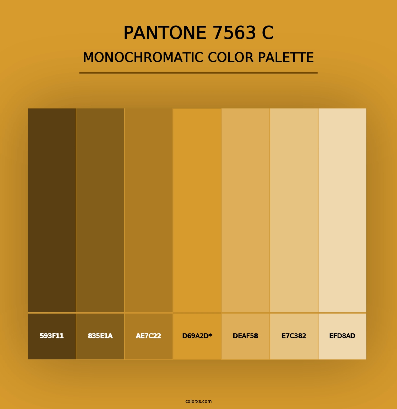 PANTONE 7563 C - Monochromatic Color Palette