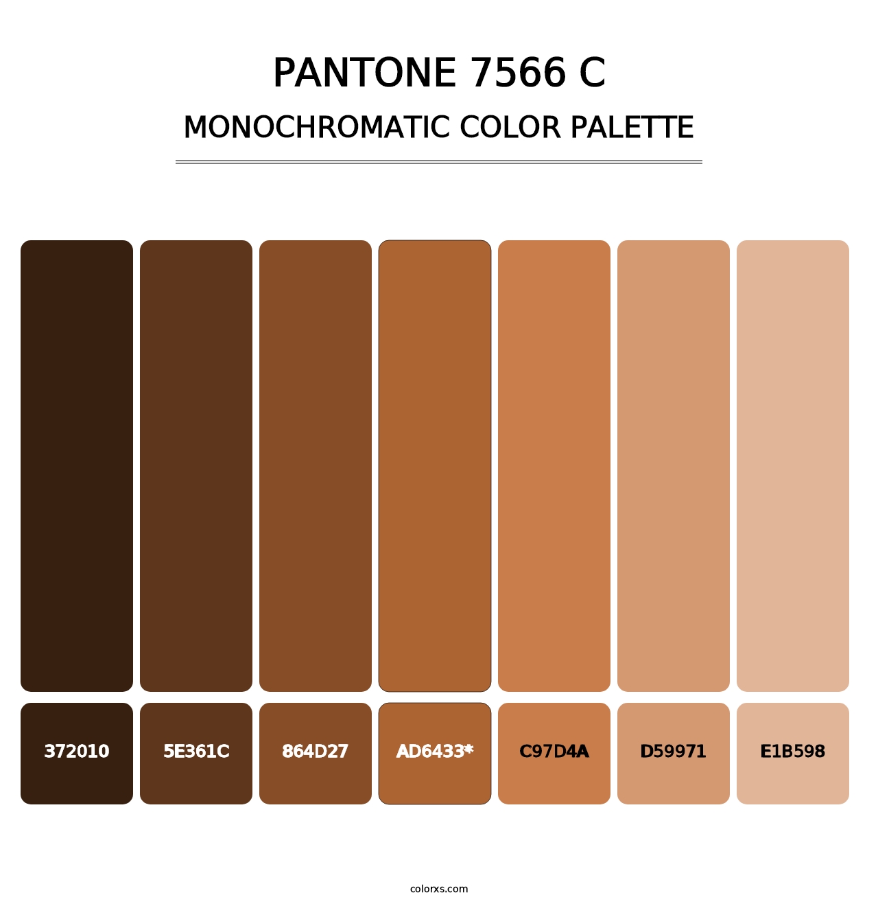 PANTONE 7566 C - Monochromatic Color Palette