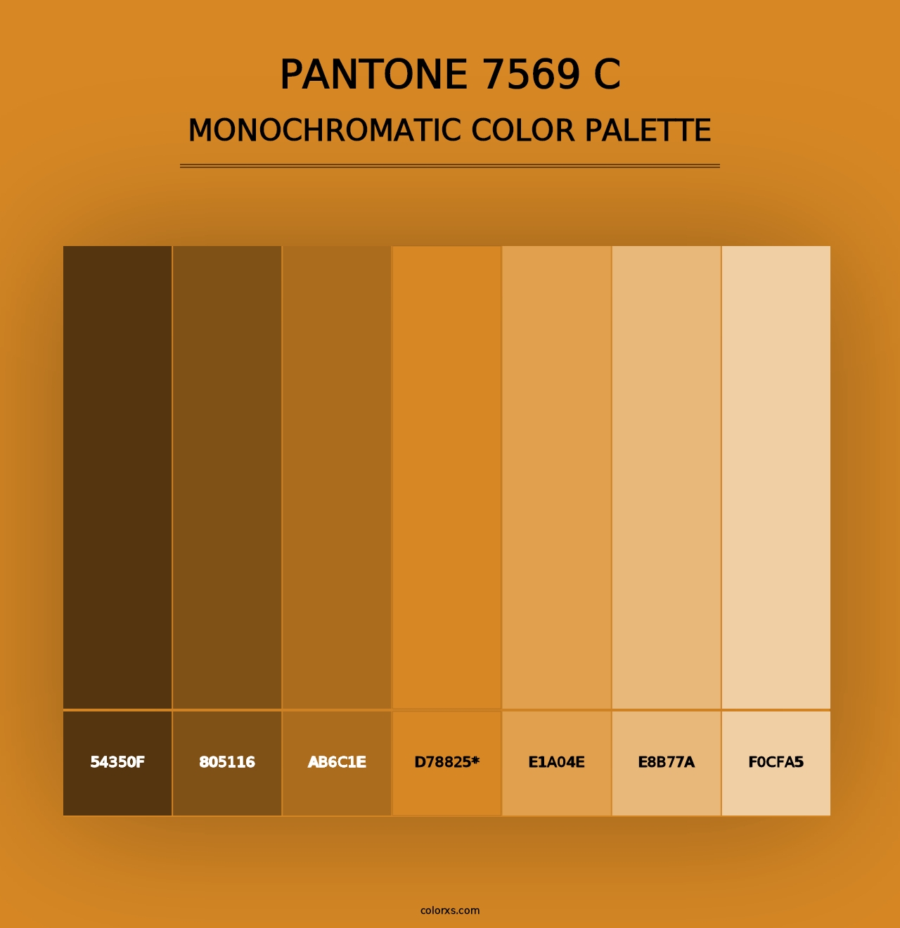 PANTONE 7569 C - Monochromatic Color Palette