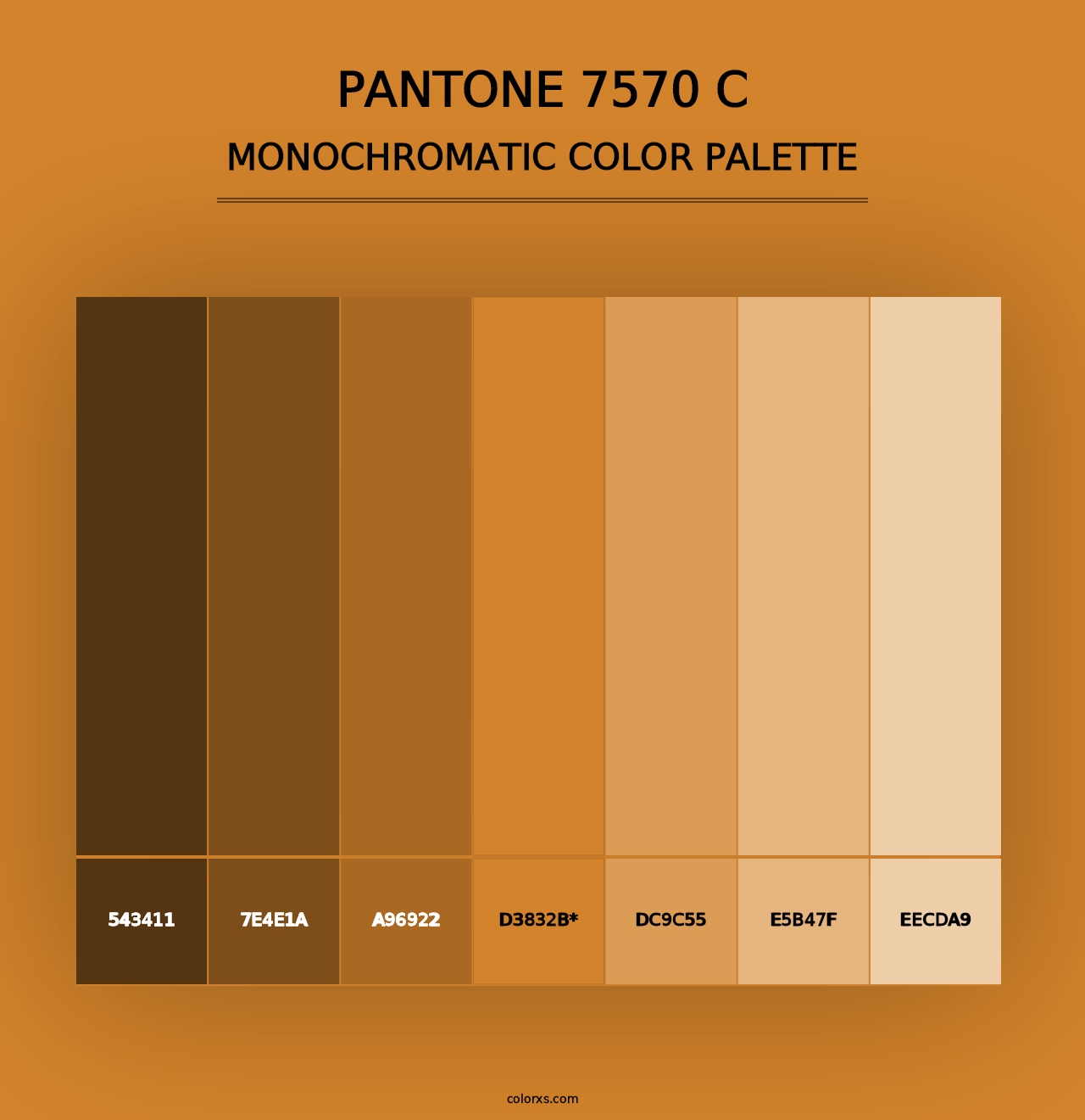 PANTONE 7570 C - Monochromatic Color Palette