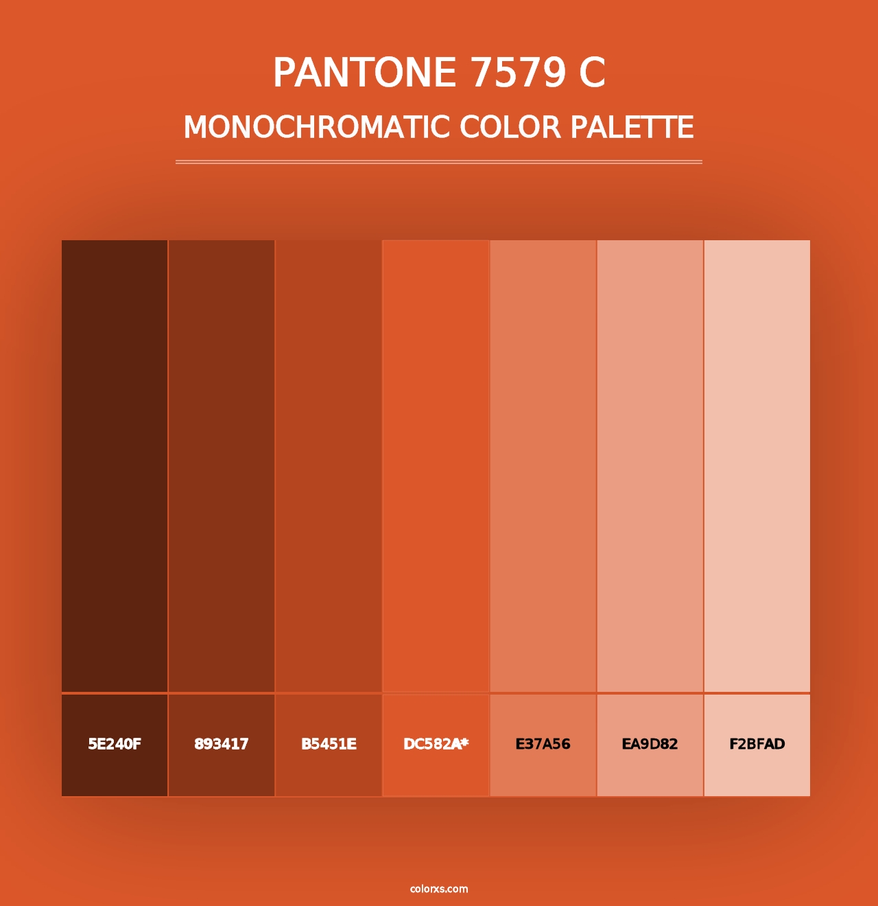 PANTONE 7579 C - Monochromatic Color Palette