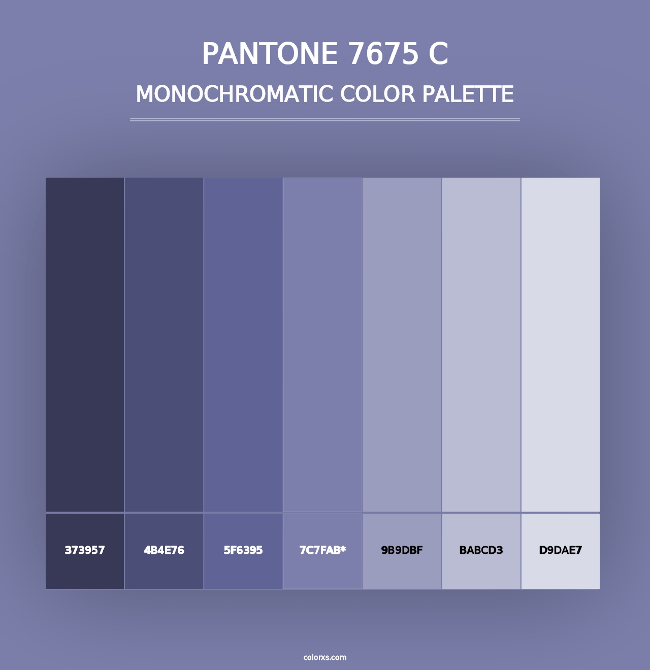 PANTONE 7675 C - Monochromatic Color Palette