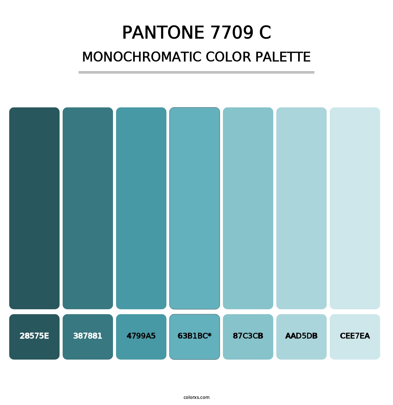 PANTONE 7709 C - Monochromatic Color Palette