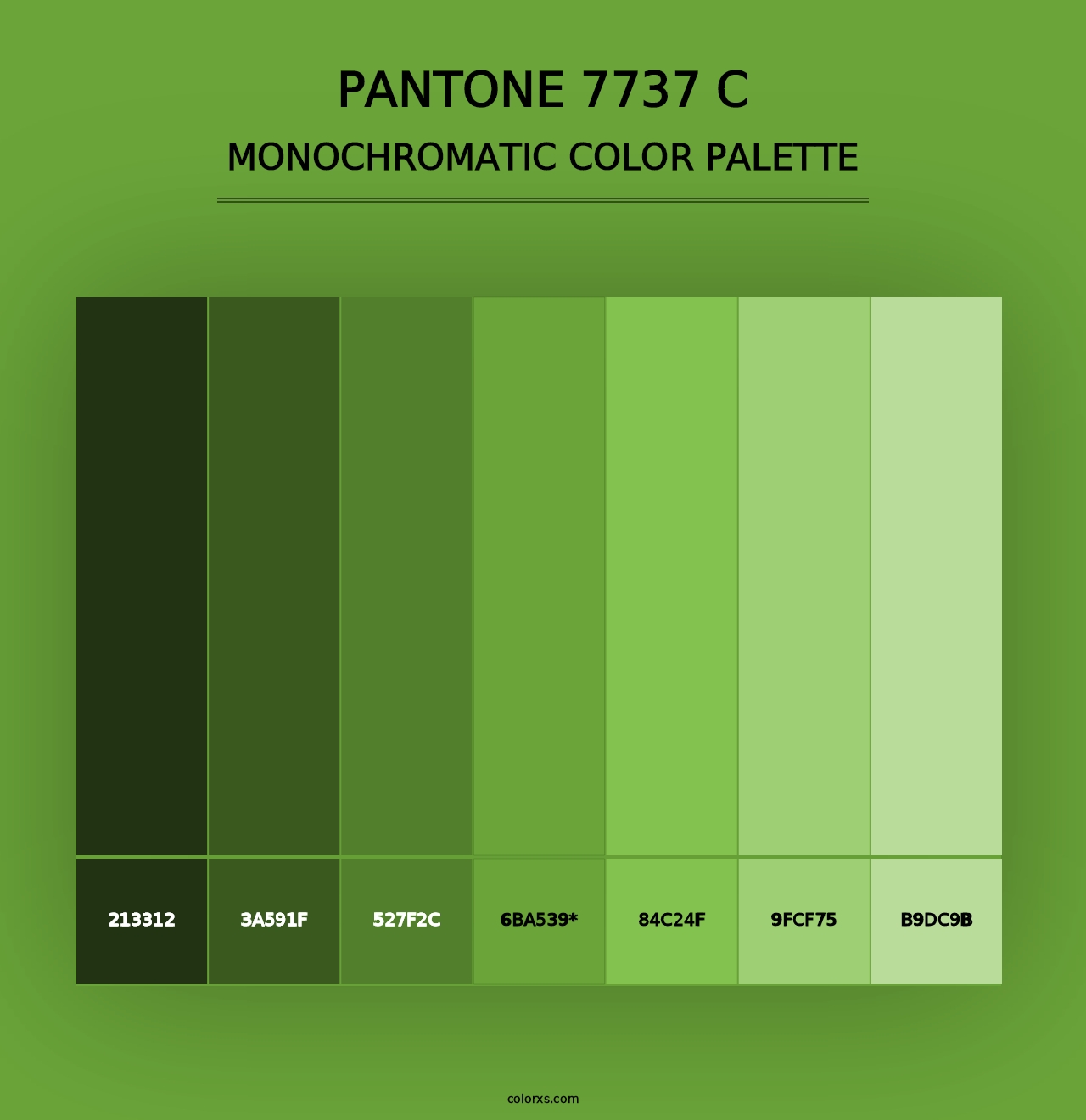 PANTONE 7737 C - Monochromatic Color Palette