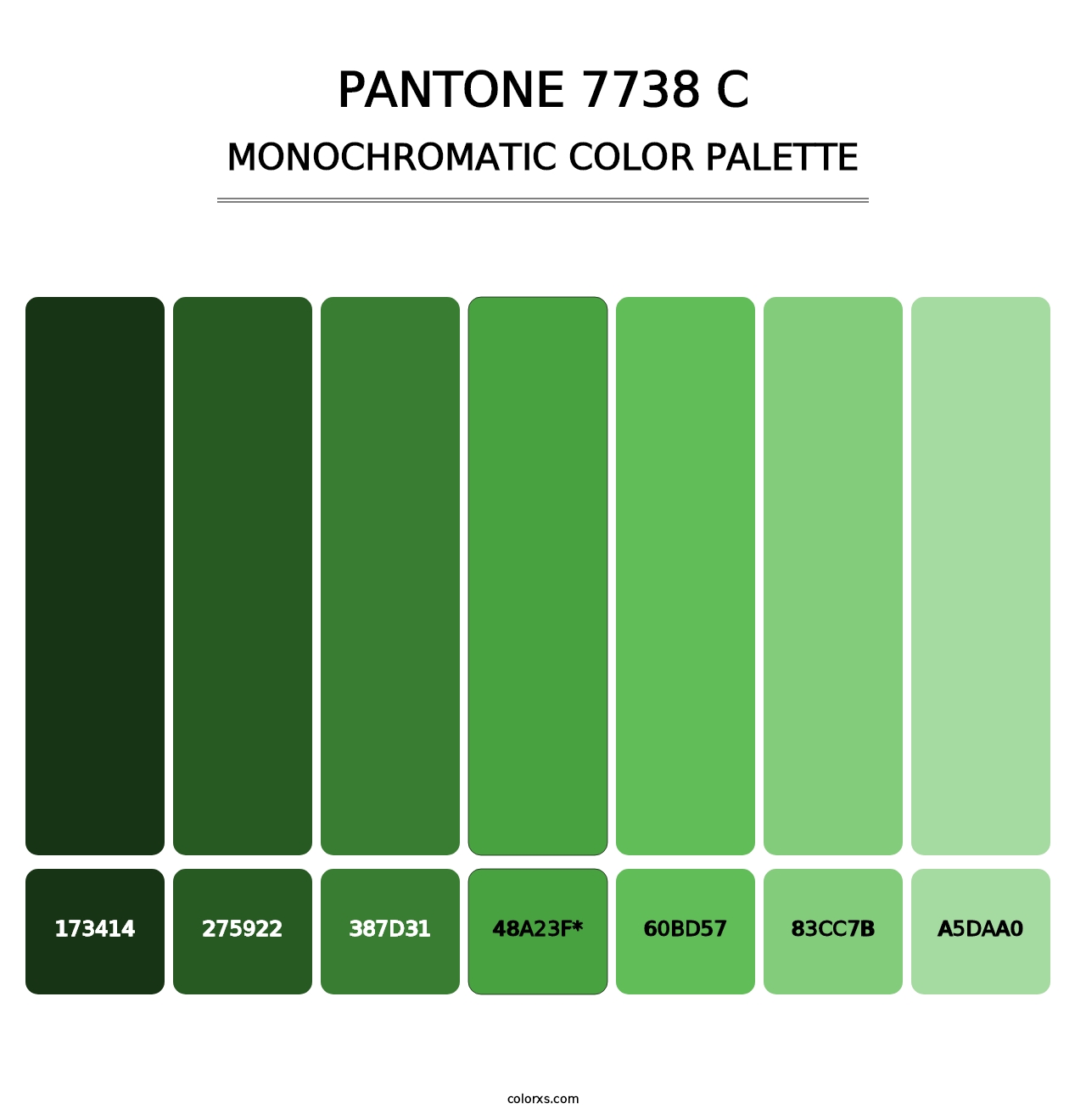 PANTONE 7738 C - Monochromatic Color Palette