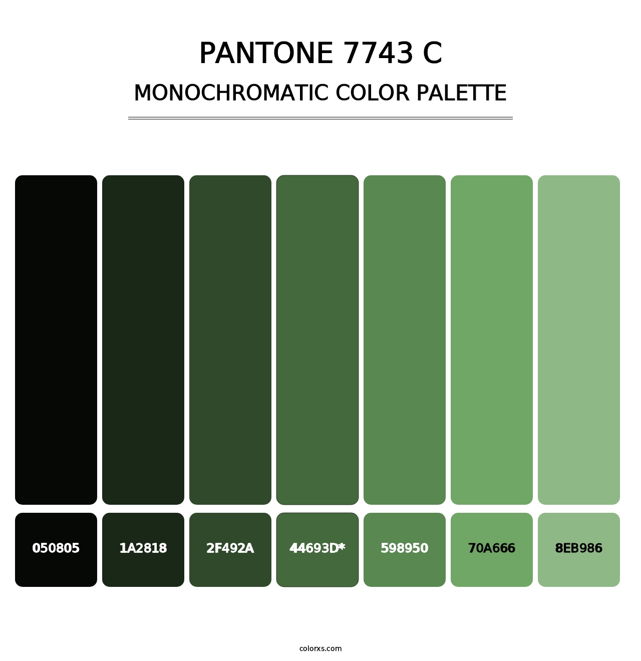 PANTONE 7743 C - Monochromatic Color Palette