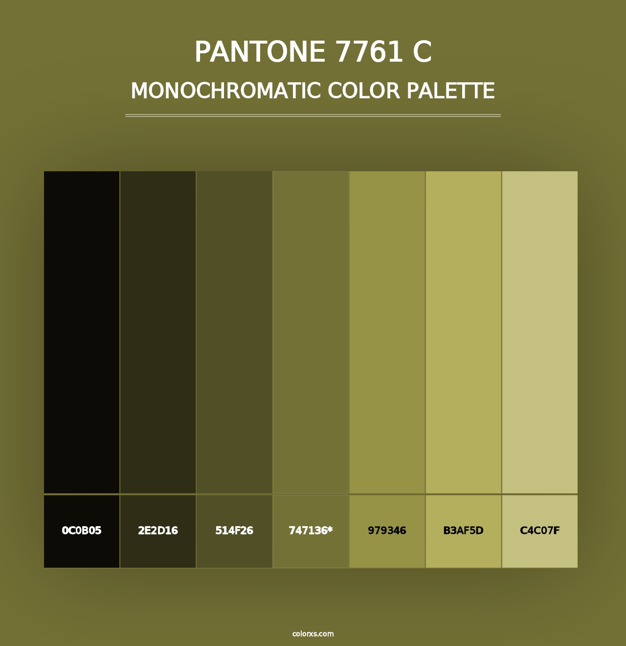 PANTONE 7761 C - Monochromatic Color Palette