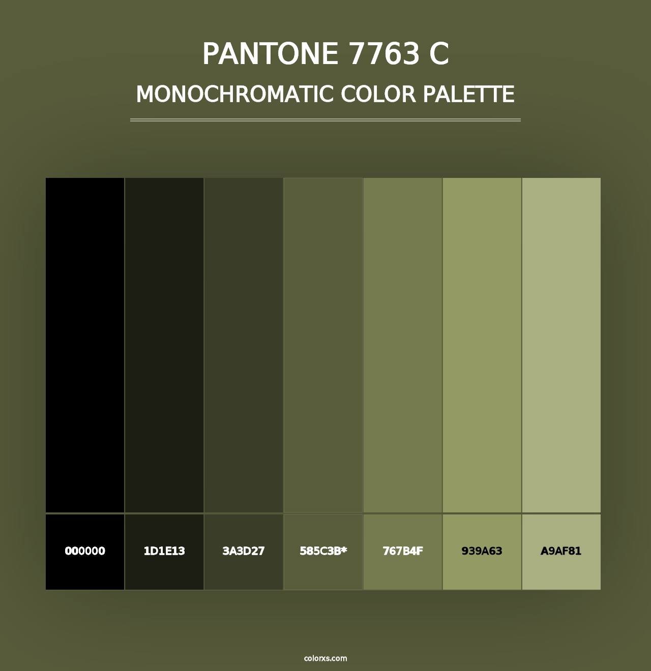 PANTONE 7763 C - Monochromatic Color Palette