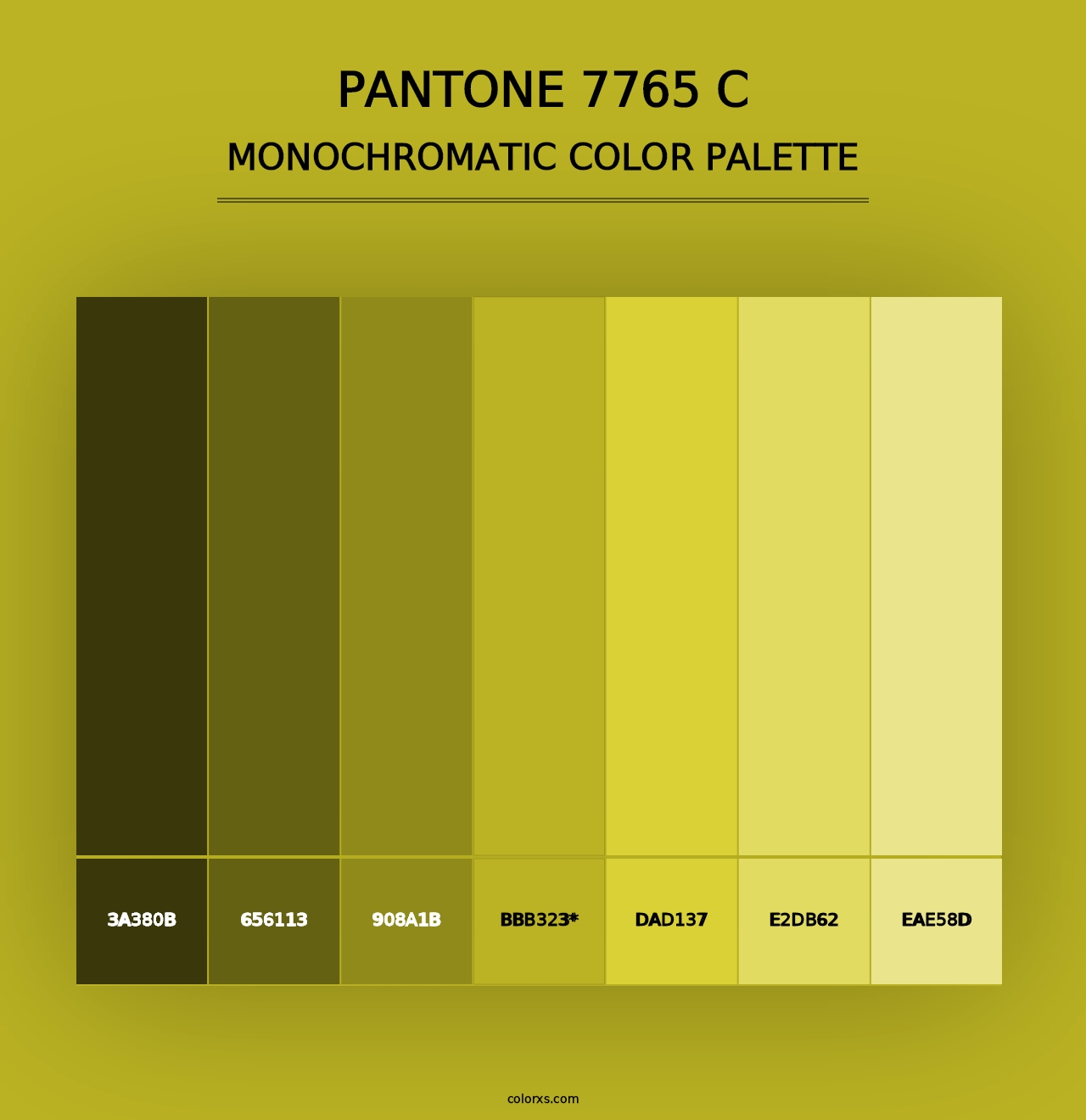 PANTONE 7765 C - Monochromatic Color Palette