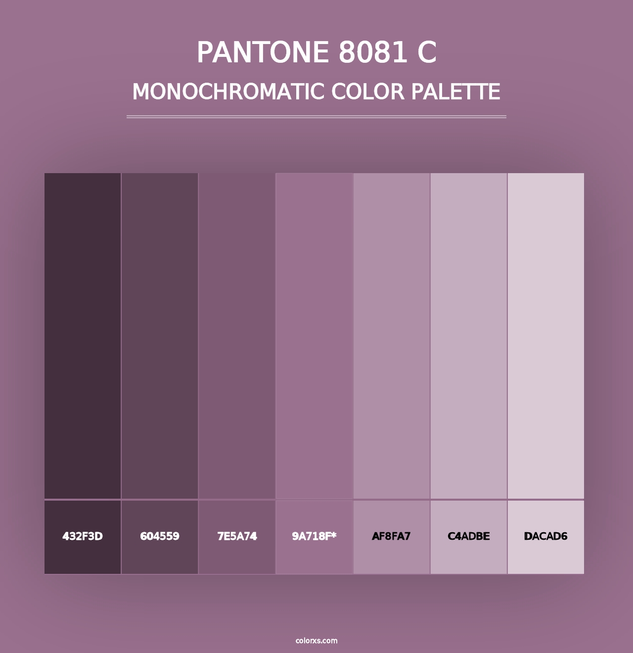 PANTONE 8081 C - Monochromatic Color Palette