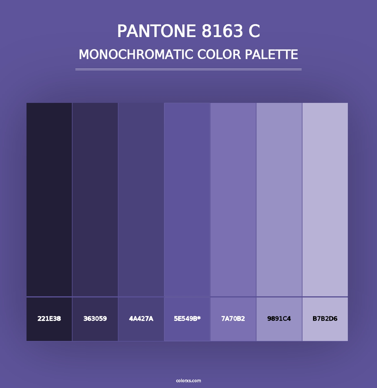 PANTONE 8163 C - Monochromatic Color Palette