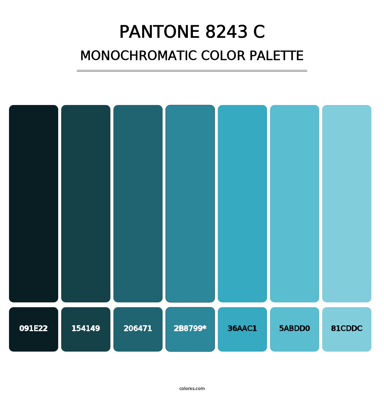 PANTONE 8243 C - Monochromatic Color Palette