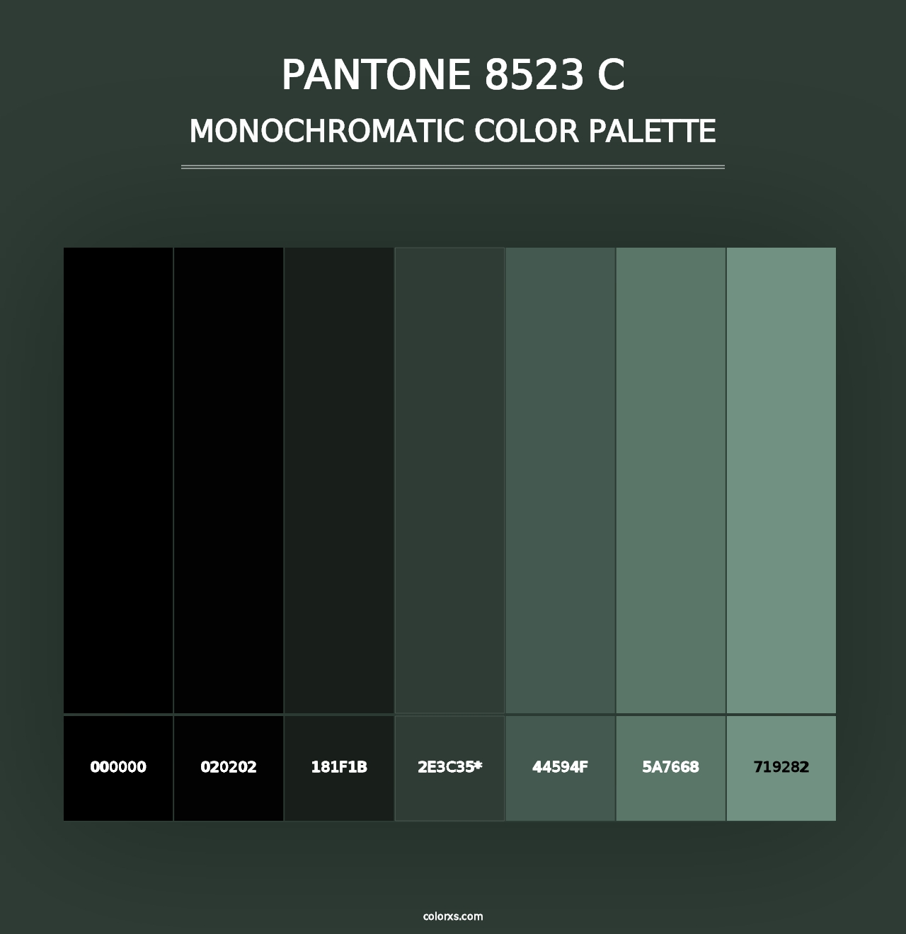 PANTONE 8523 C - Monochromatic Color Palette