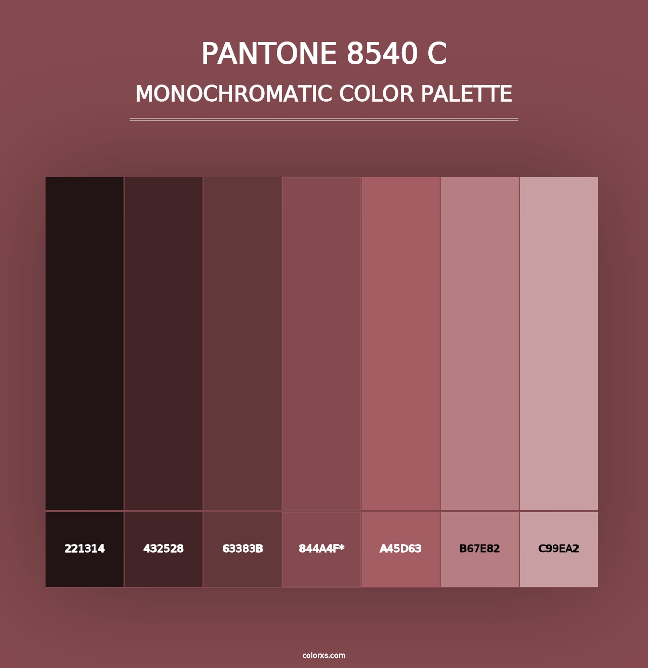 PANTONE 8540 C - Monochromatic Color Palette