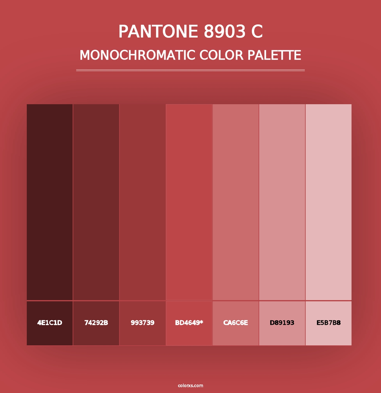 PANTONE 8903 C - Monochromatic Color Palette