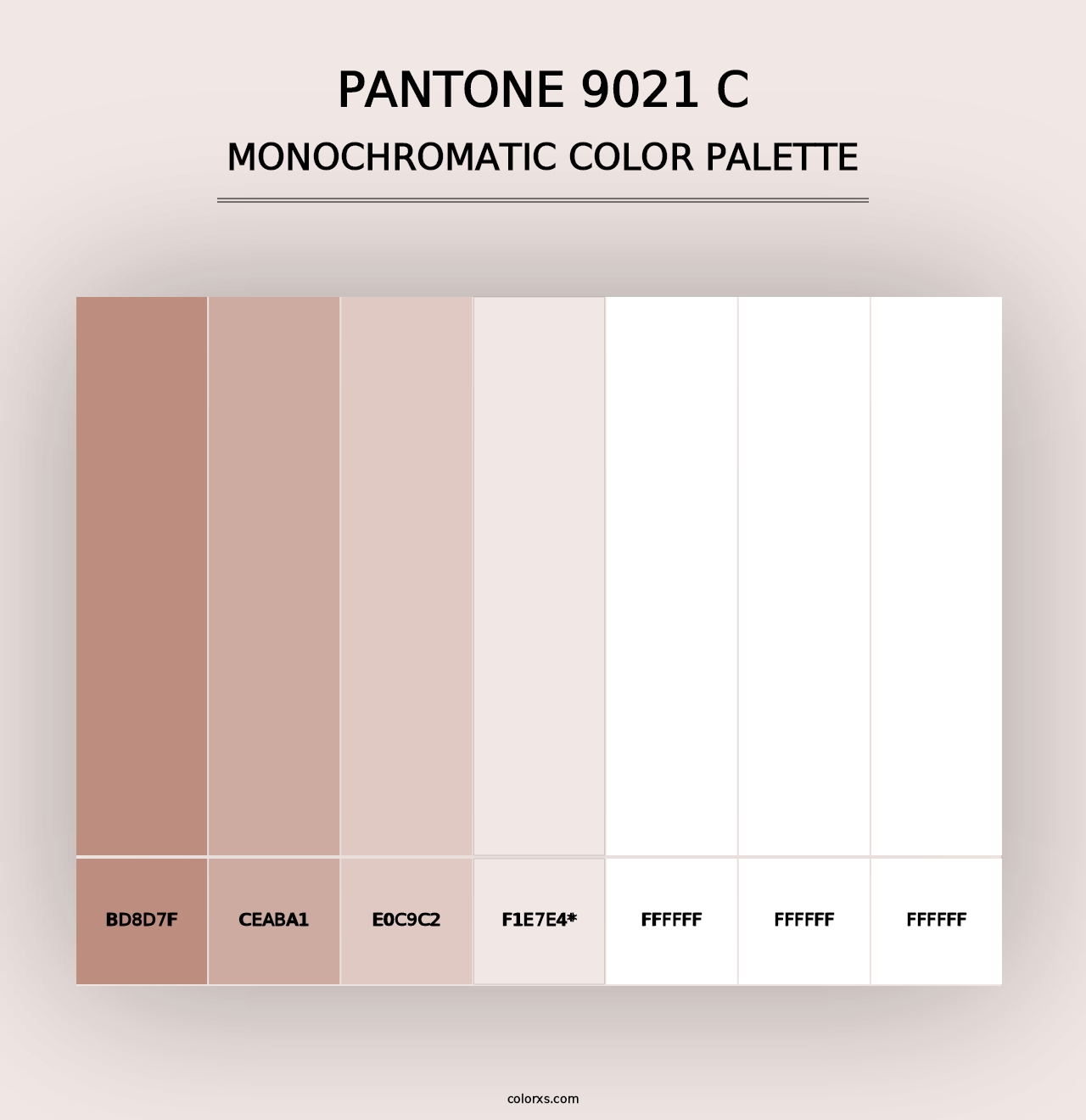 PANTONE 9021 C - Monochromatic Color Palette