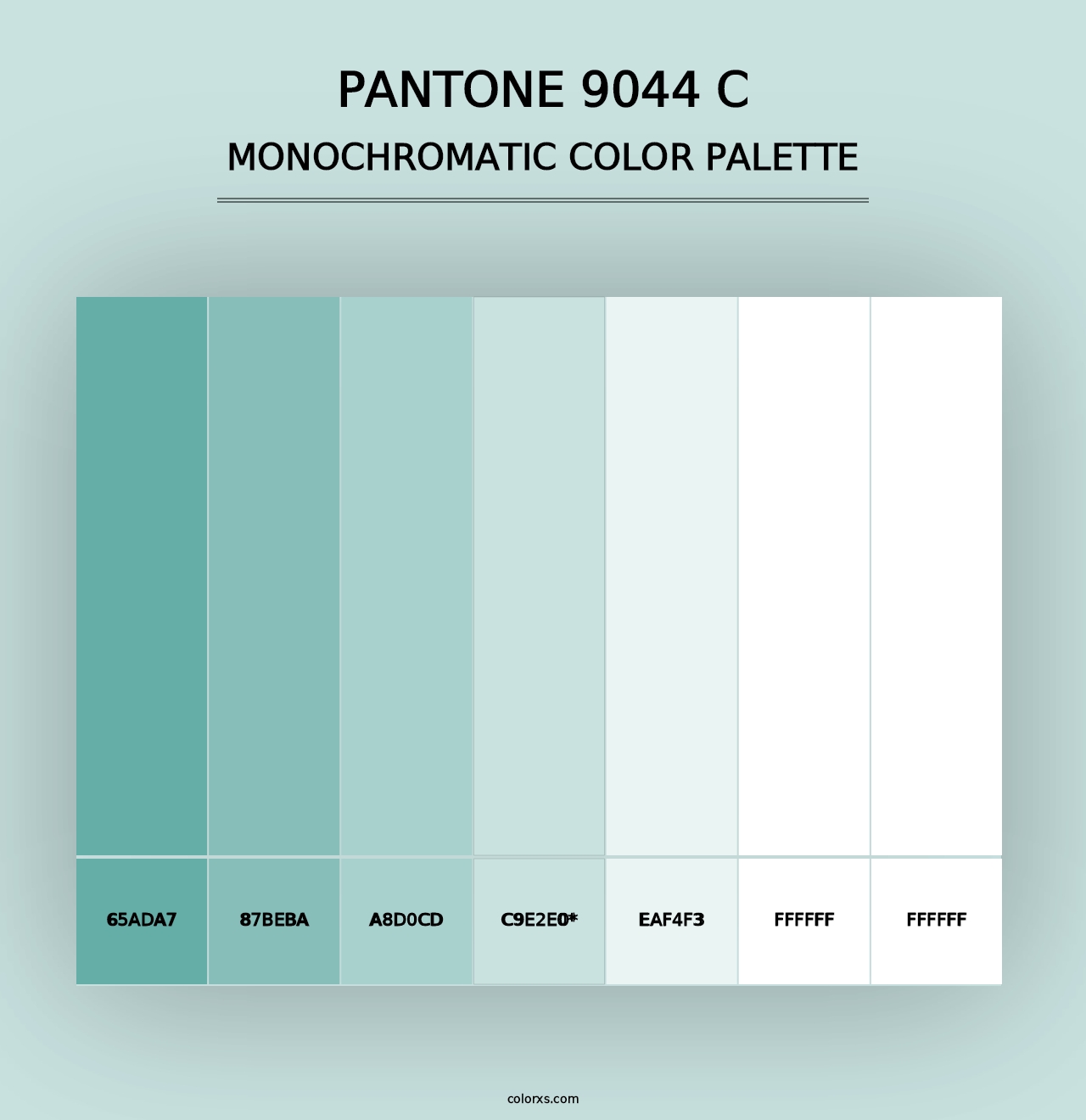 PANTONE 9044 C - Monochromatic Color Palette