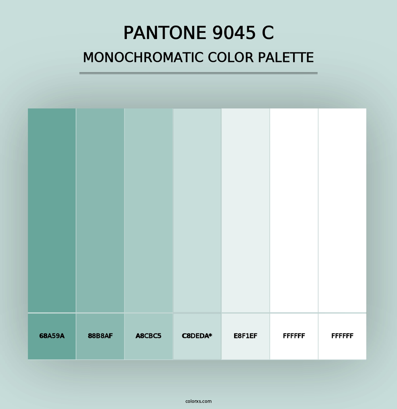 PANTONE 9045 C - Monochromatic Color Palette