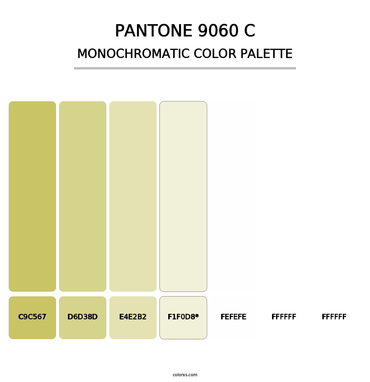 PANTONE 9060 C - Monochromatic Color Palette