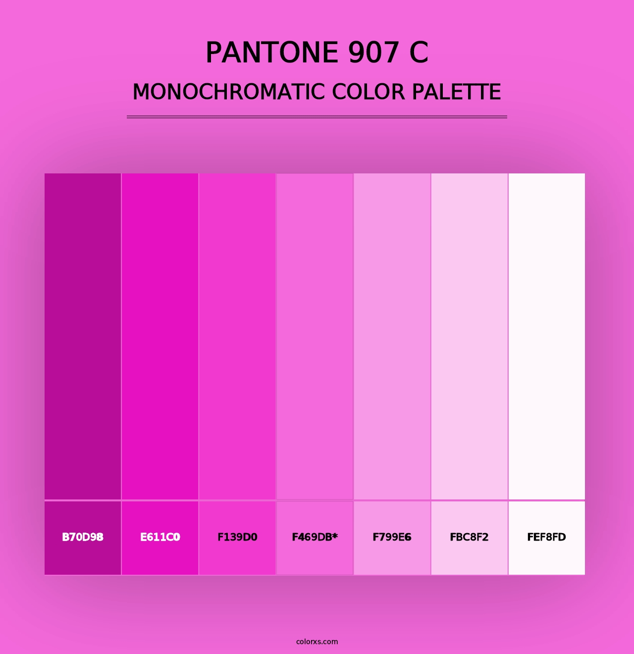 PANTONE 907 C - Monochromatic Color Palette