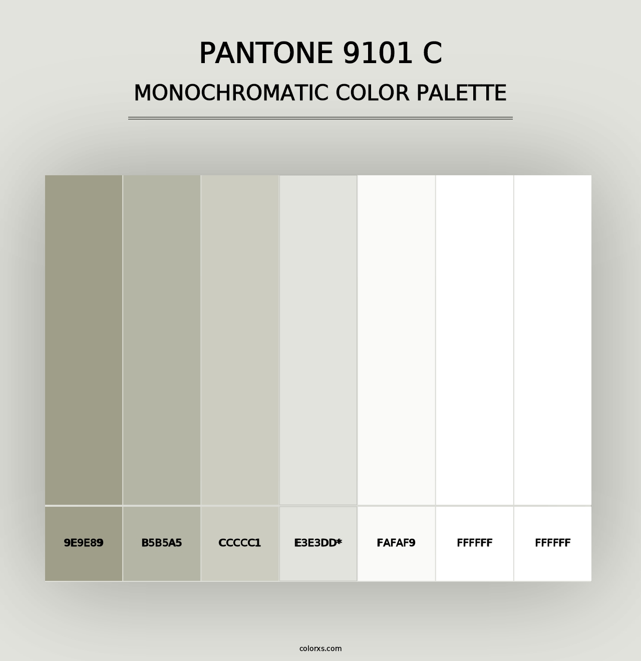 PANTONE 9101 C - Monochromatic Color Palette