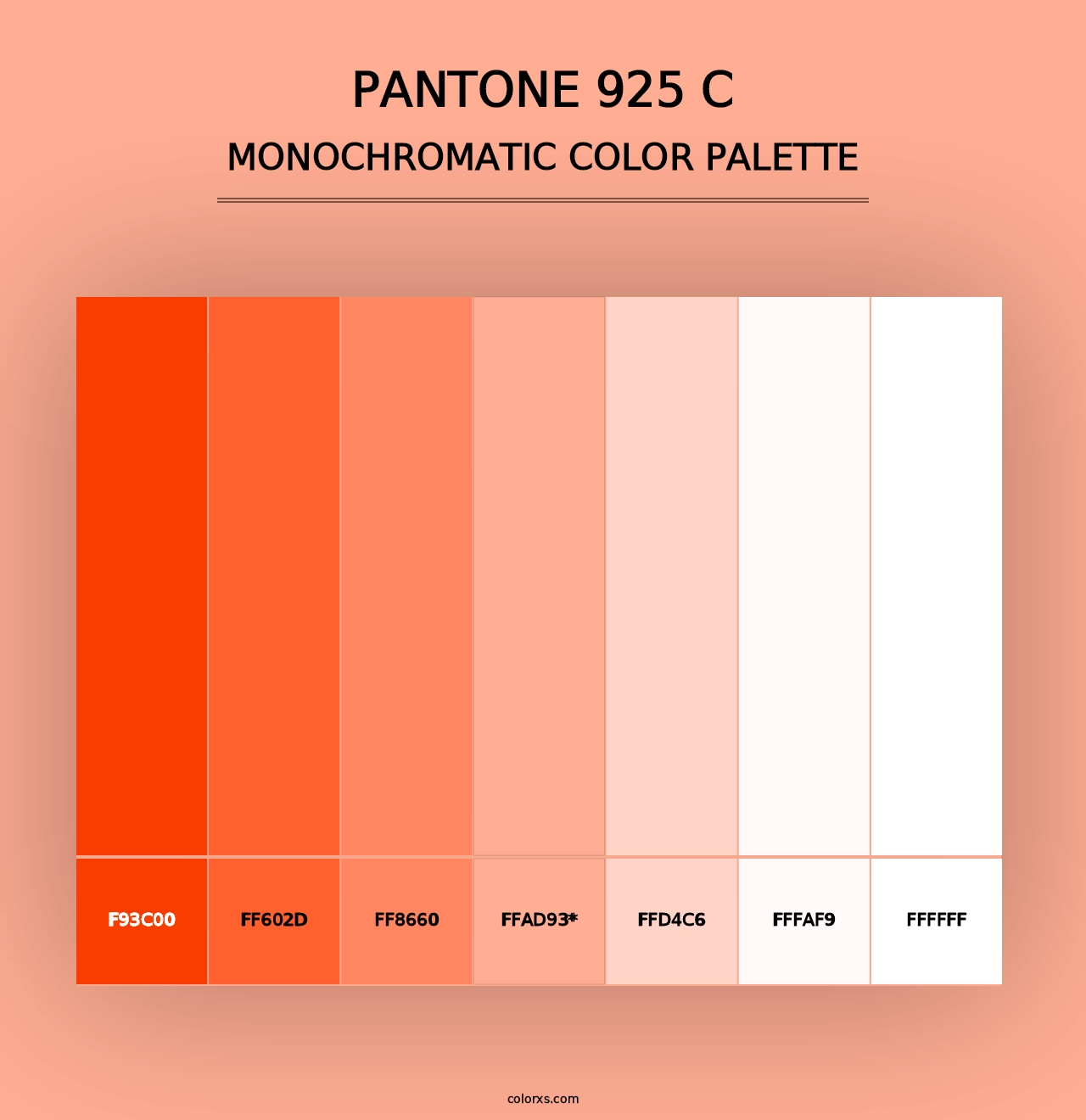 PANTONE 925 C - Monochromatic Color Palette