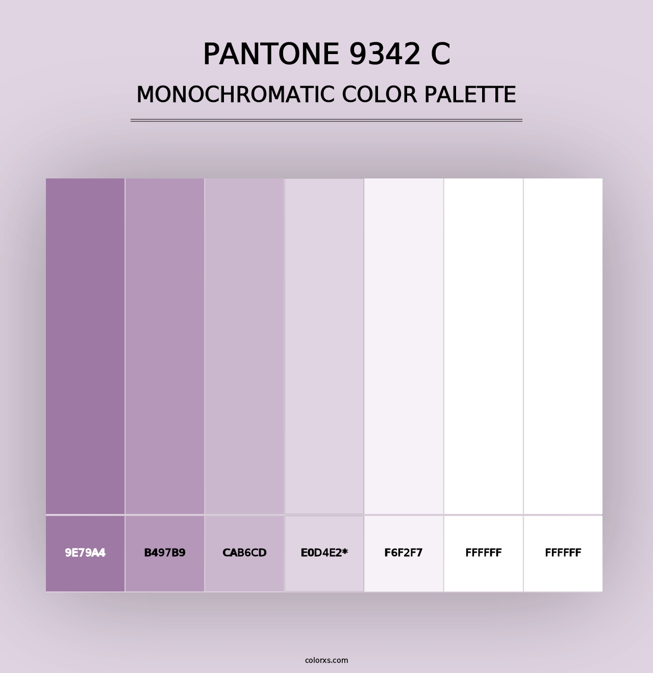 PANTONE 9342 C - Monochromatic Color Palette