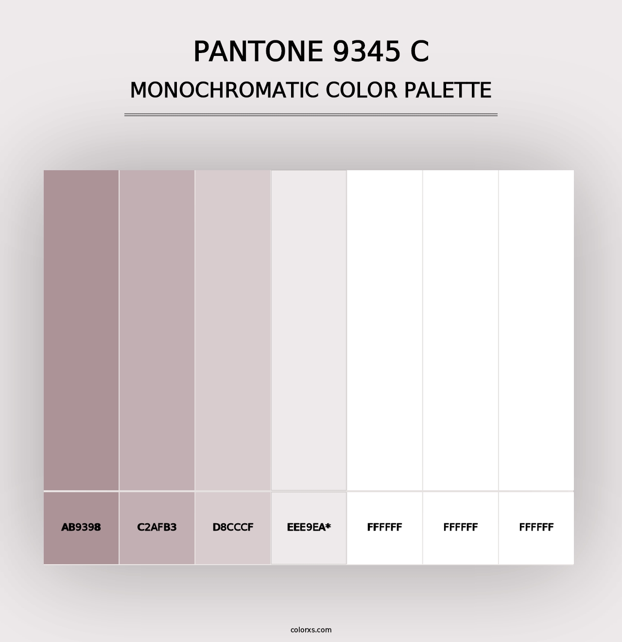 PANTONE 9345 C - Monochromatic Color Palette