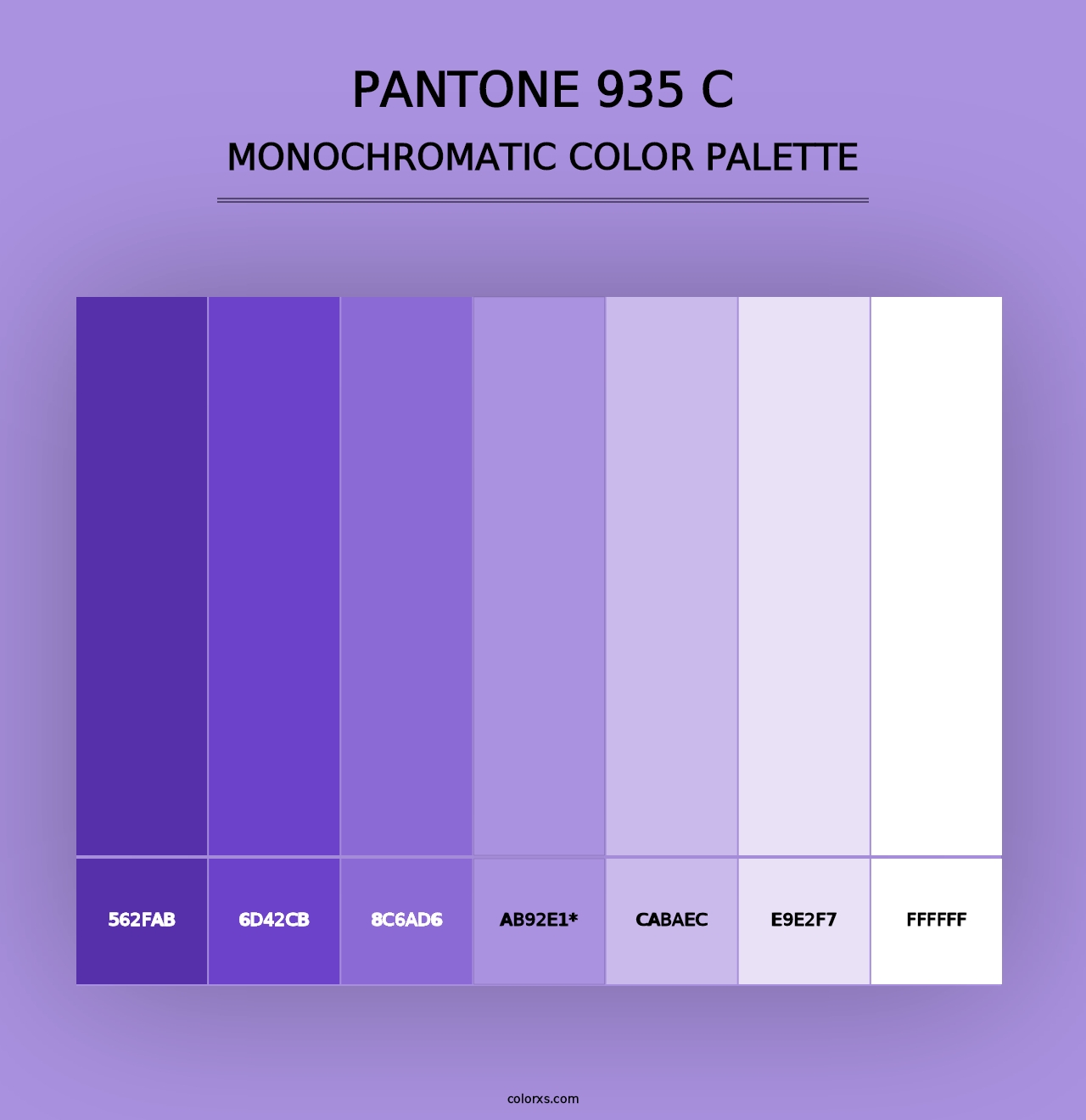 PANTONE 935 C - Monochromatic Color Palette