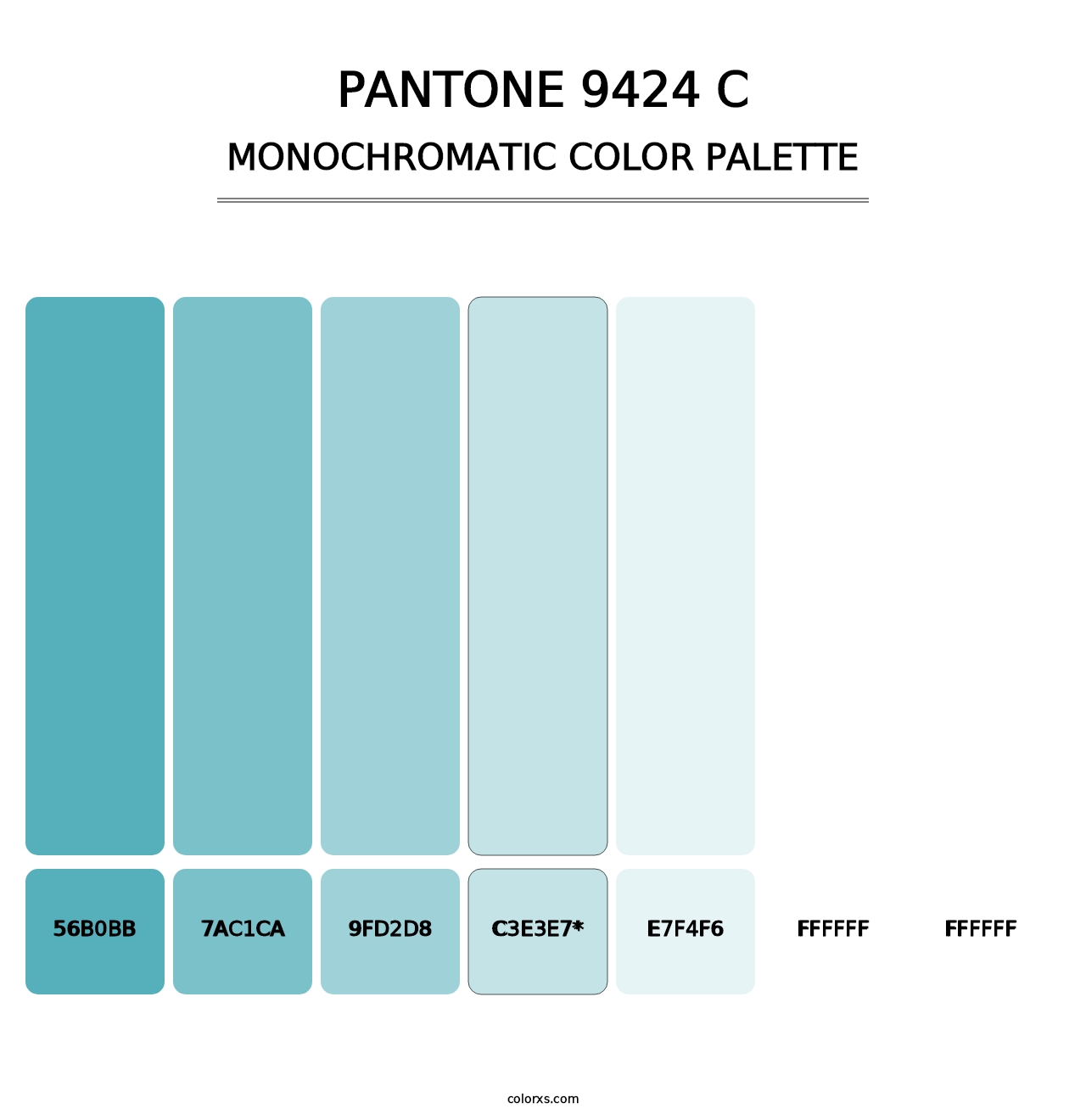 PANTONE 9424 C - Monochromatic Color Palette