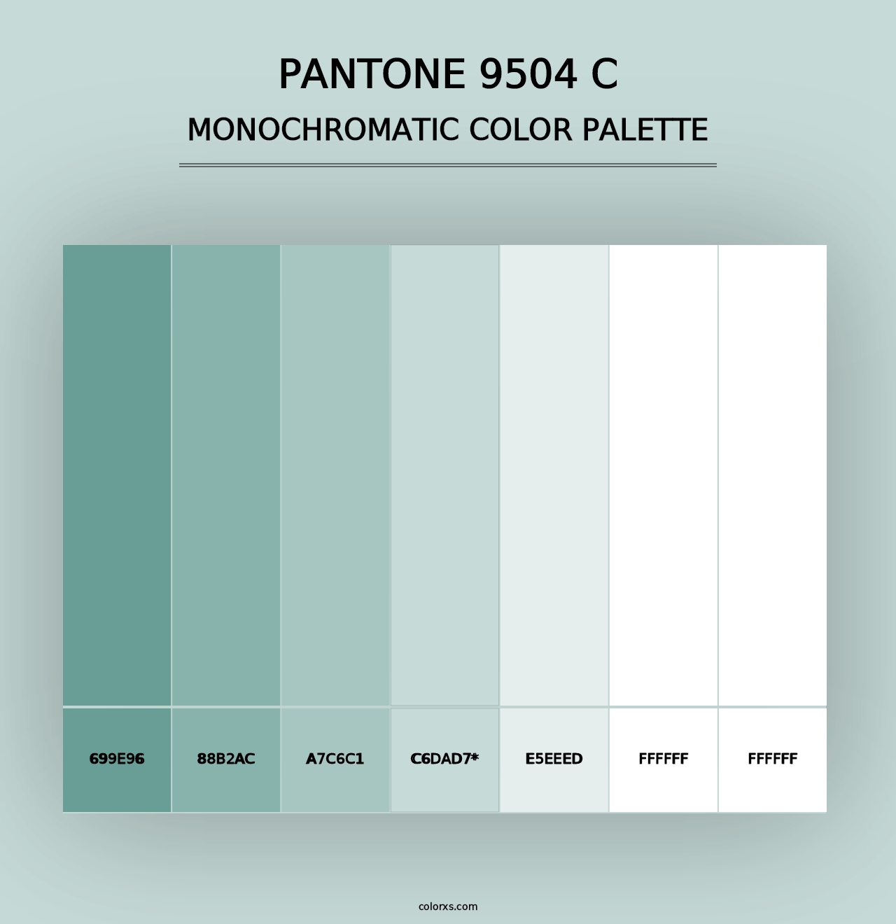 PANTONE 9504 C - Monochromatic Color Palette