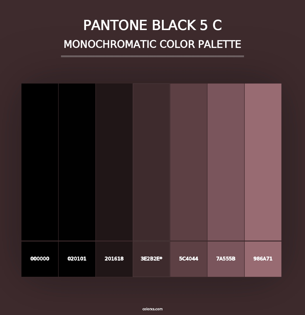 PANTONE Black 5 C - Monochromatic Color Palette