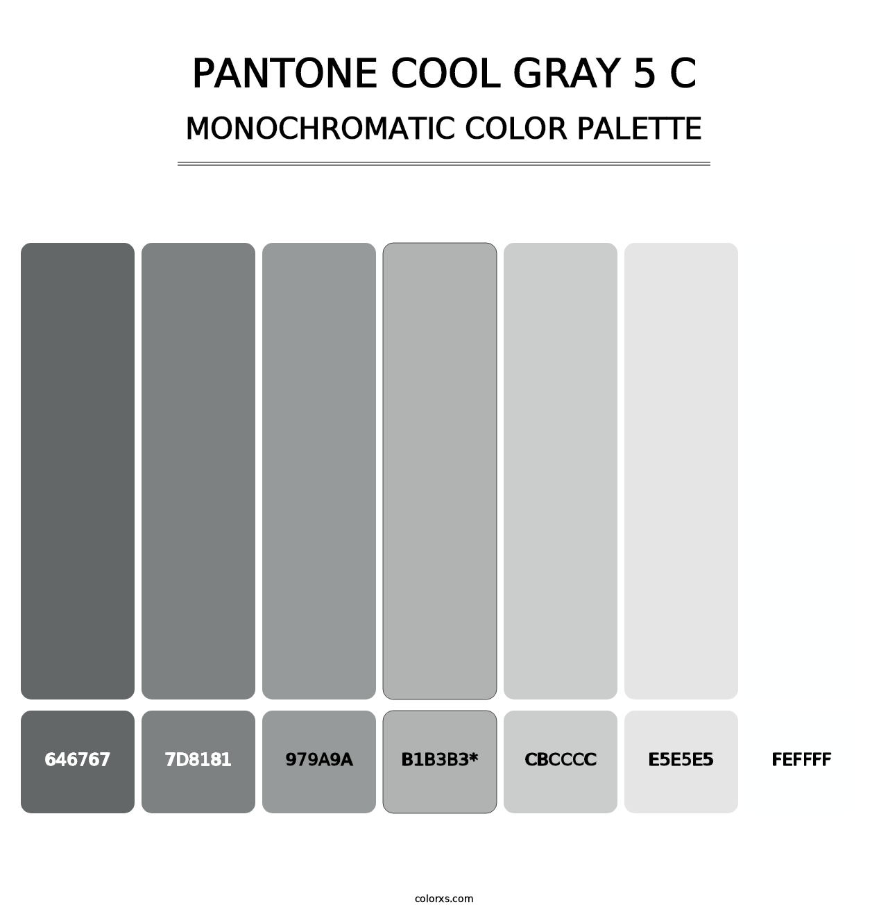 PANTONE Cool Gray 5 C - Monochromatic Color Palette