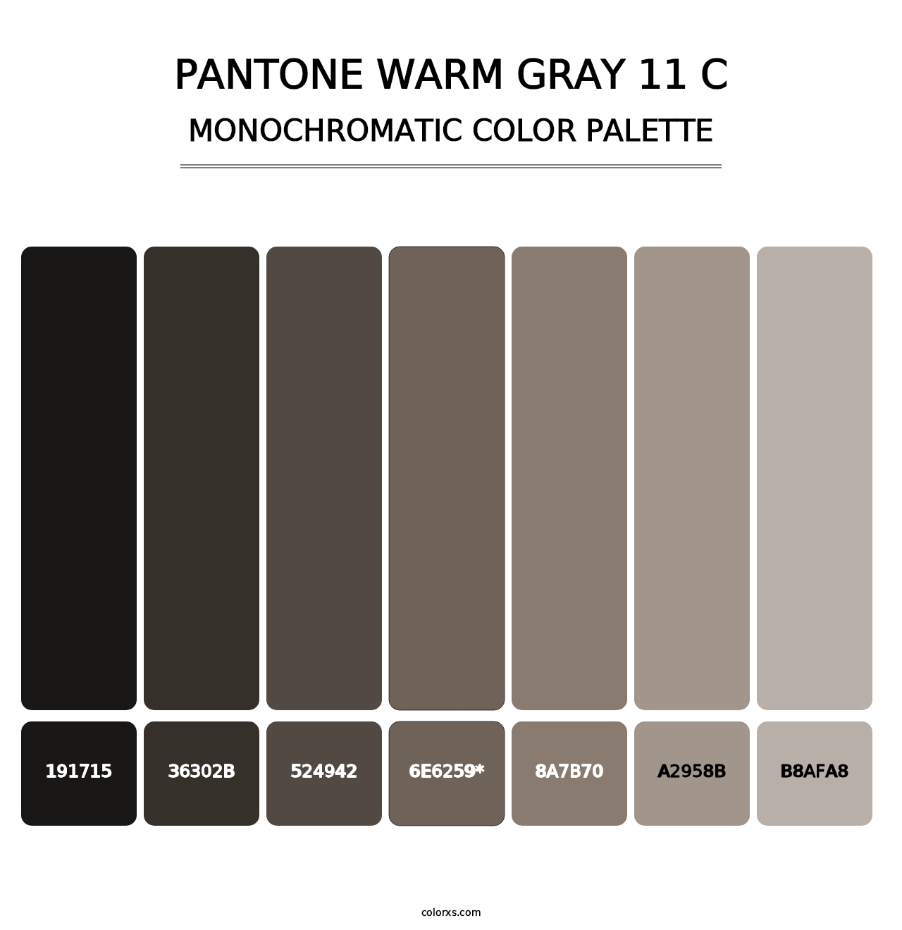 PANTONE Warm Gray 11 C - Monochromatic Color Palette