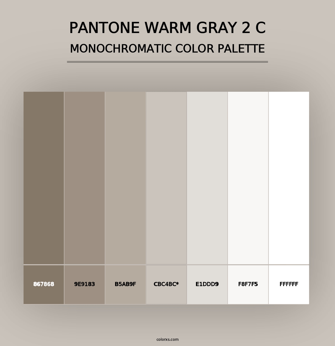 PANTONE Warm Gray 2 C - Monochromatic Color Palette