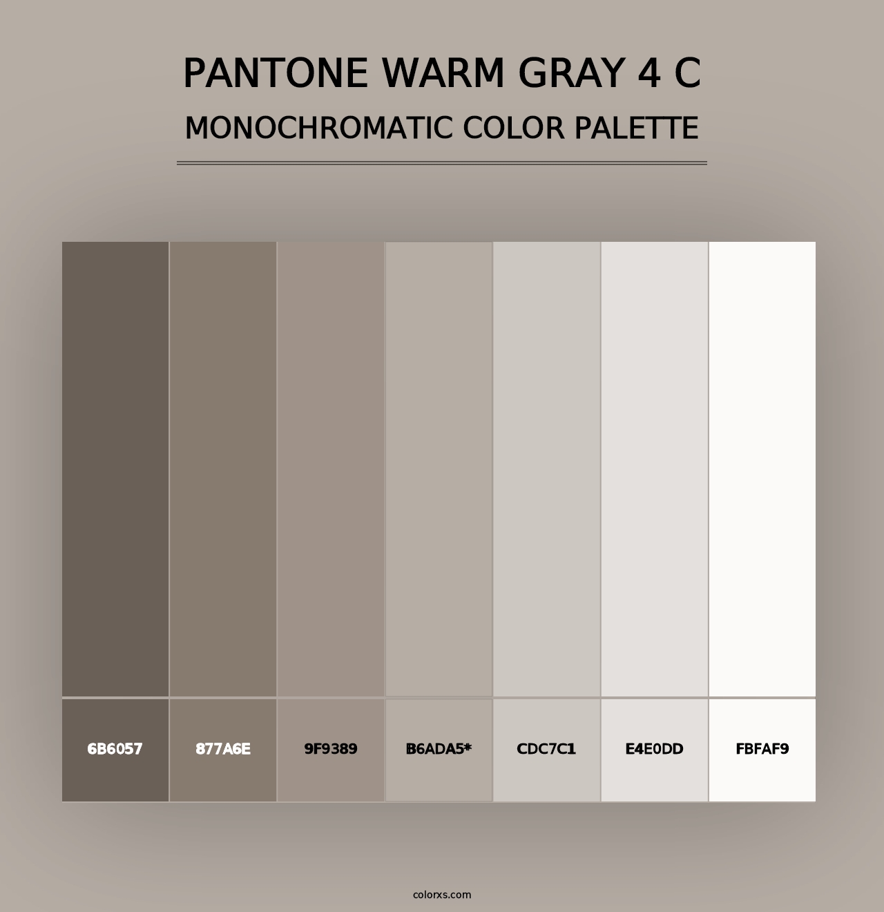 PANTONE Warm Gray 4 C - Monochromatic Color Palette