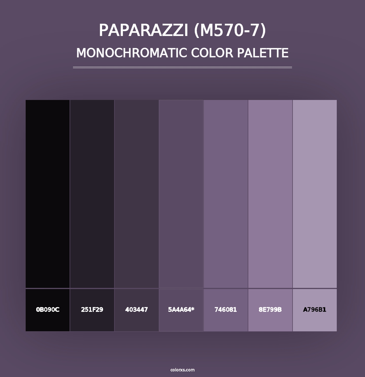 Paparazzi (M570-7) - Monochromatic Color Palette