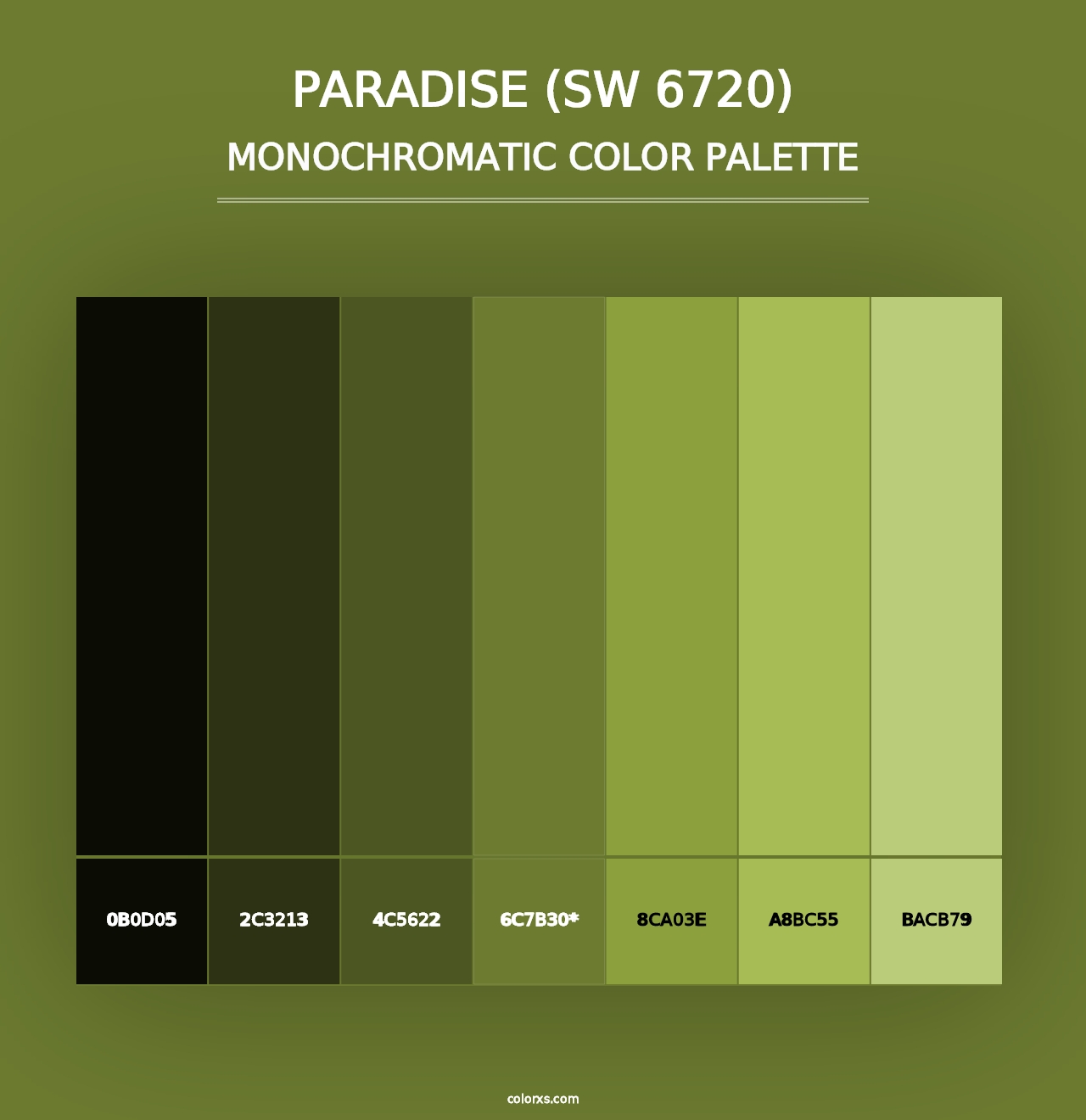 Paradise (SW 6720) - Monochromatic Color Palette