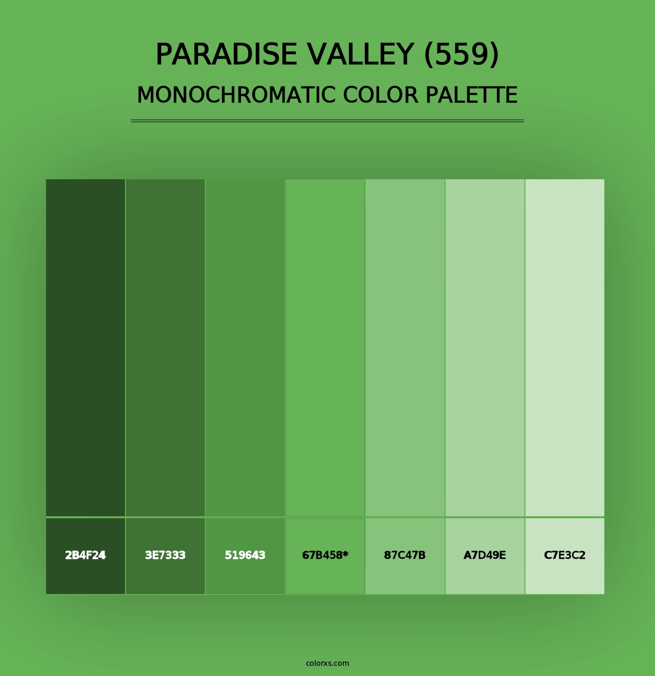 Paradise Valley (559) - Monochromatic Color Palette