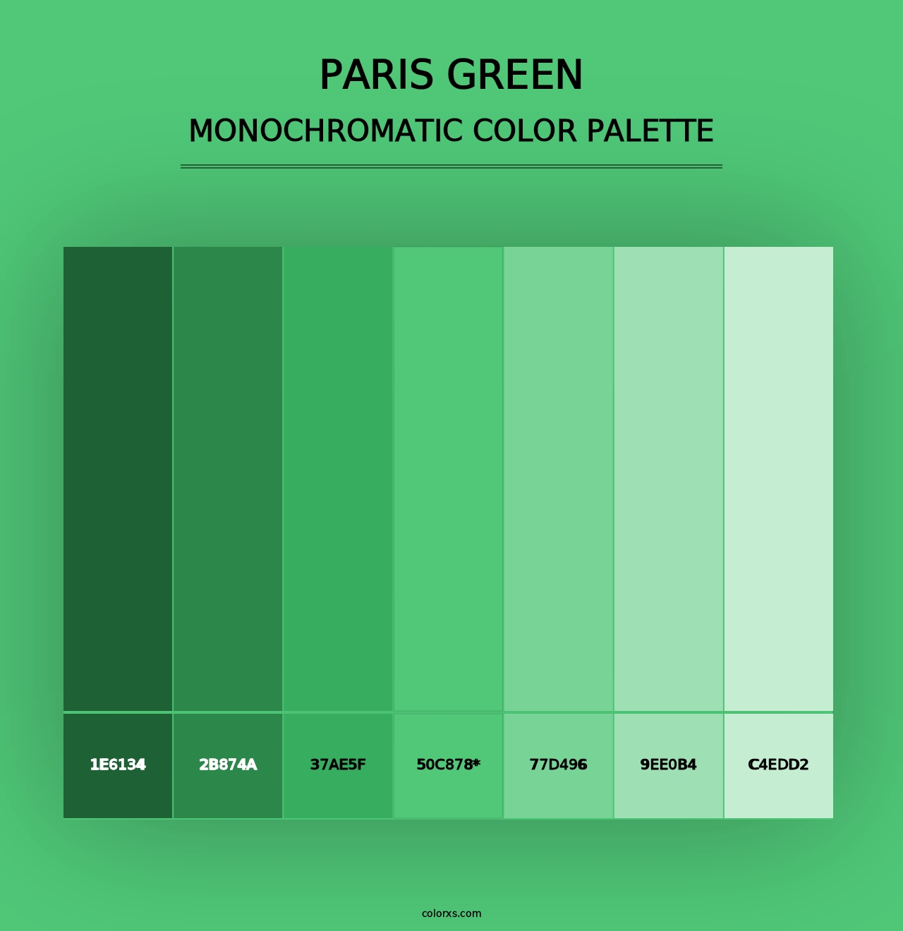 Paris Green - Monochromatic Color Palette