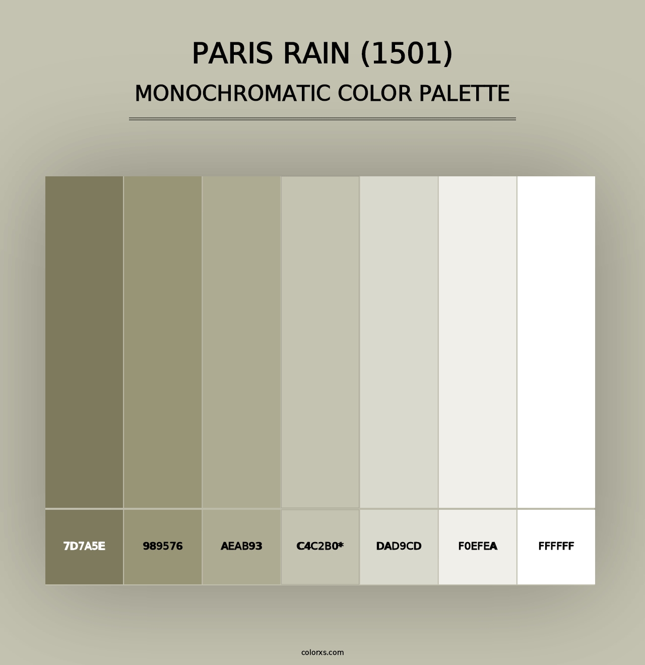 Paris Rain (1501) - Monochromatic Color Palette