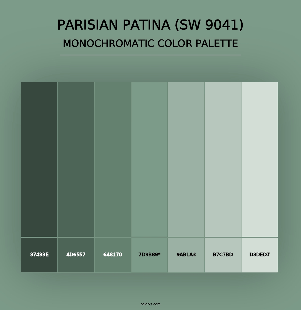 Parisian Patina (SW 9041) - Monochromatic Color Palette