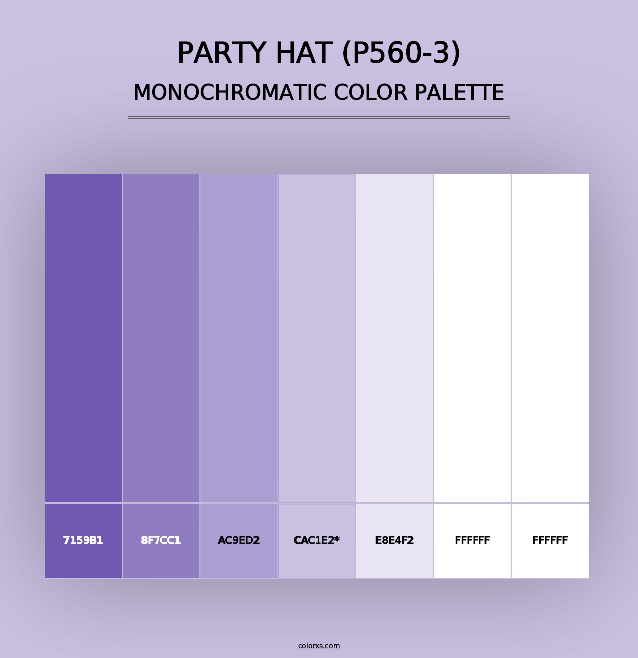 Party Hat (P560-3) - Monochromatic Color Palette