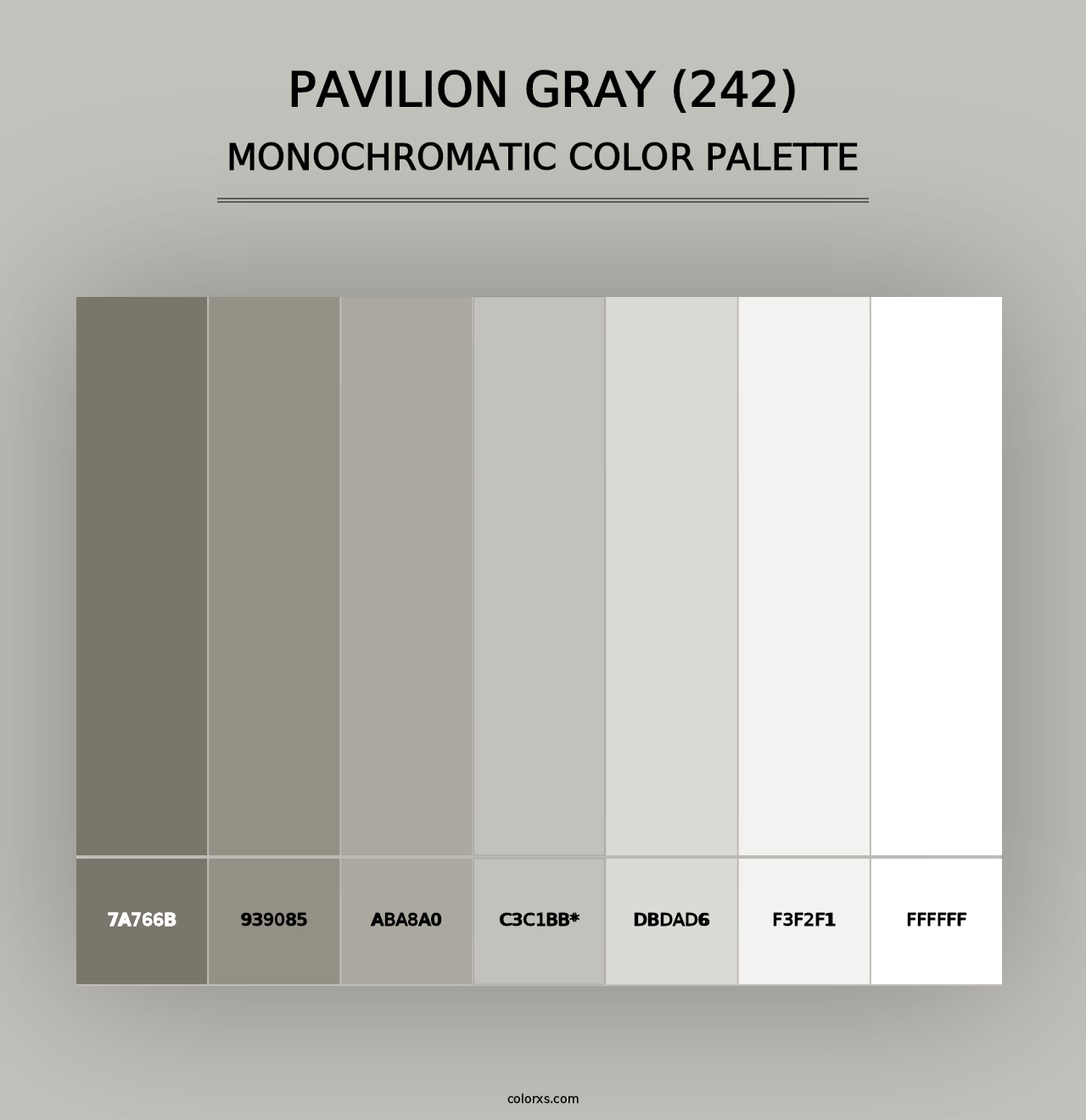 Pavilion Gray (242) - Monochromatic Color Palette