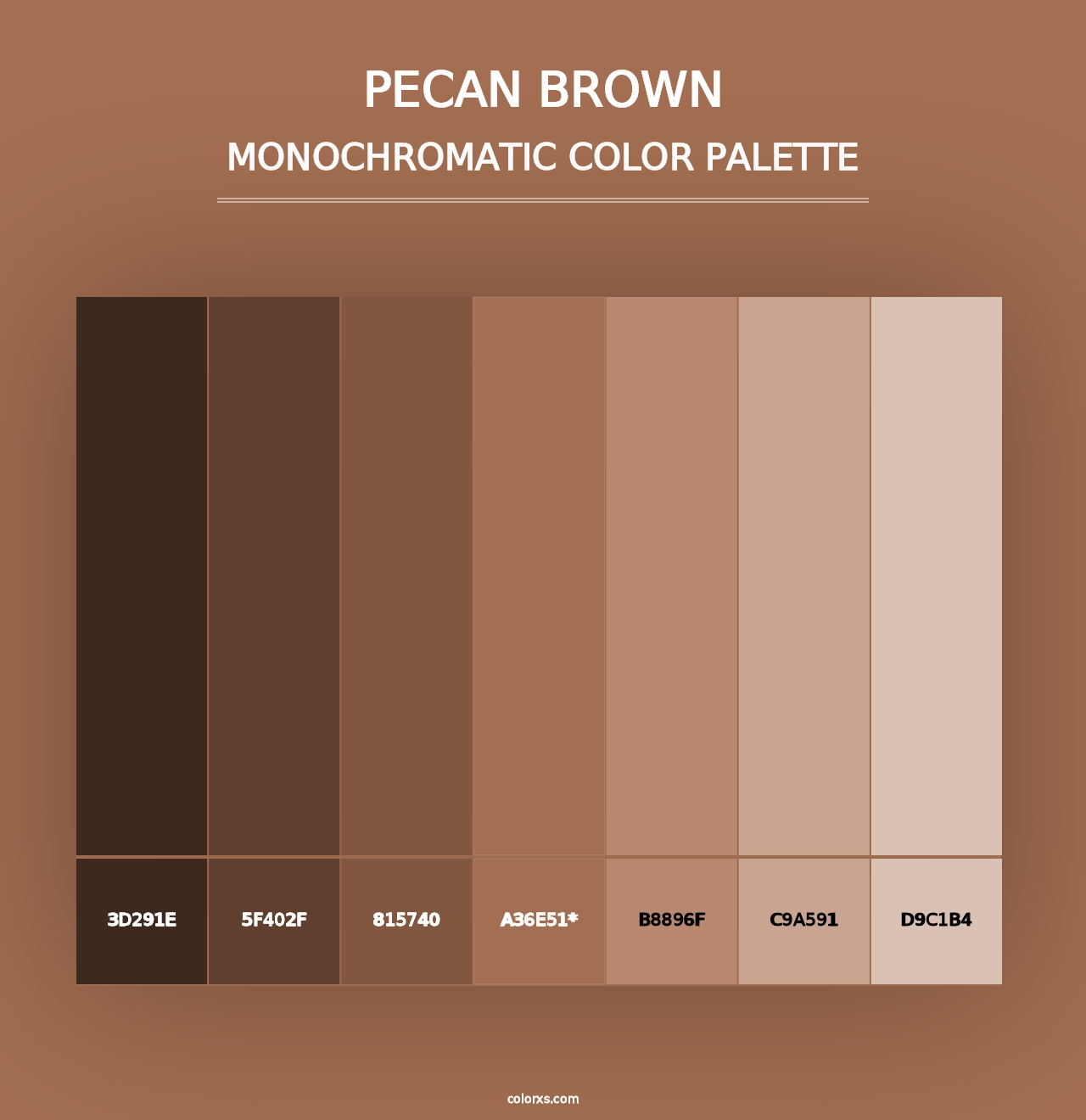 Pecan Brown - Monochromatic Color Palette