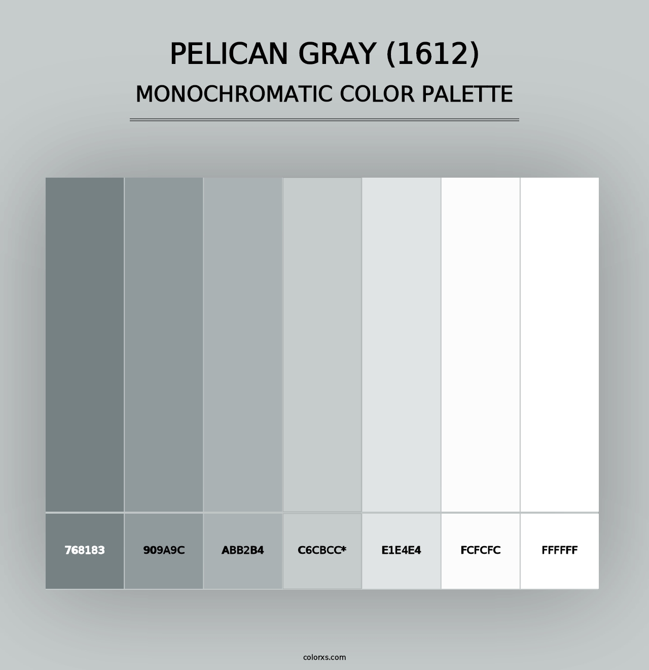 Pelican Gray (1612) - Monochromatic Color Palette