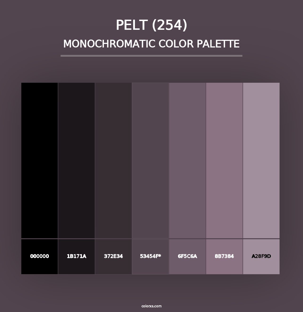 Pelt (254) - Monochromatic Color Palette