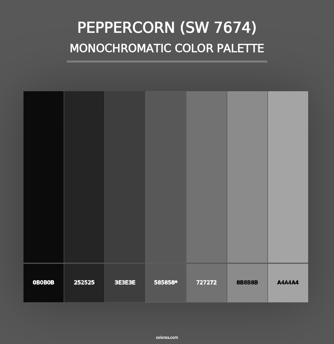 Peppercorn (SW 7674) - Monochromatic Color Palette