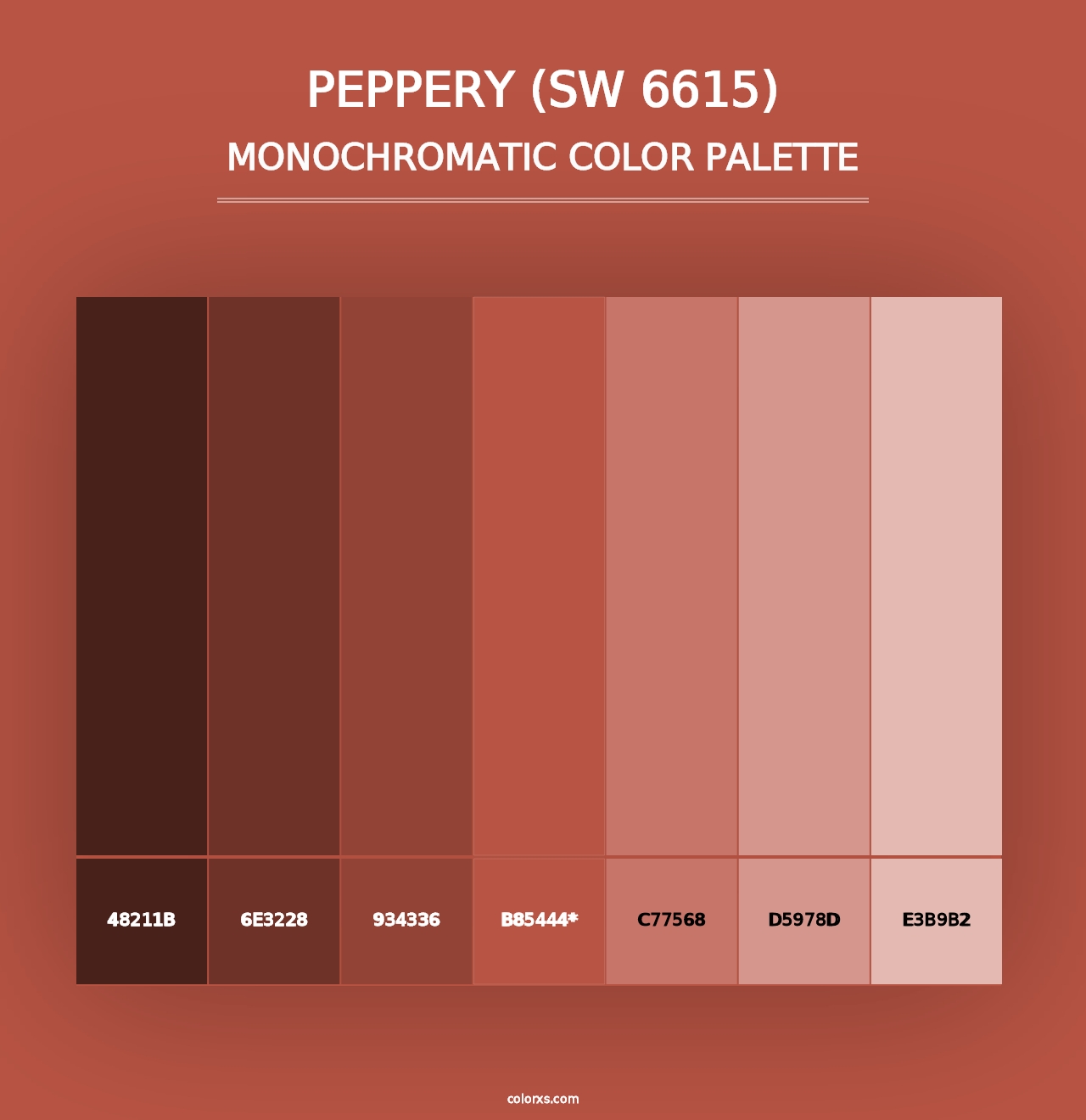 Peppery (SW 6615) - Monochromatic Color Palette