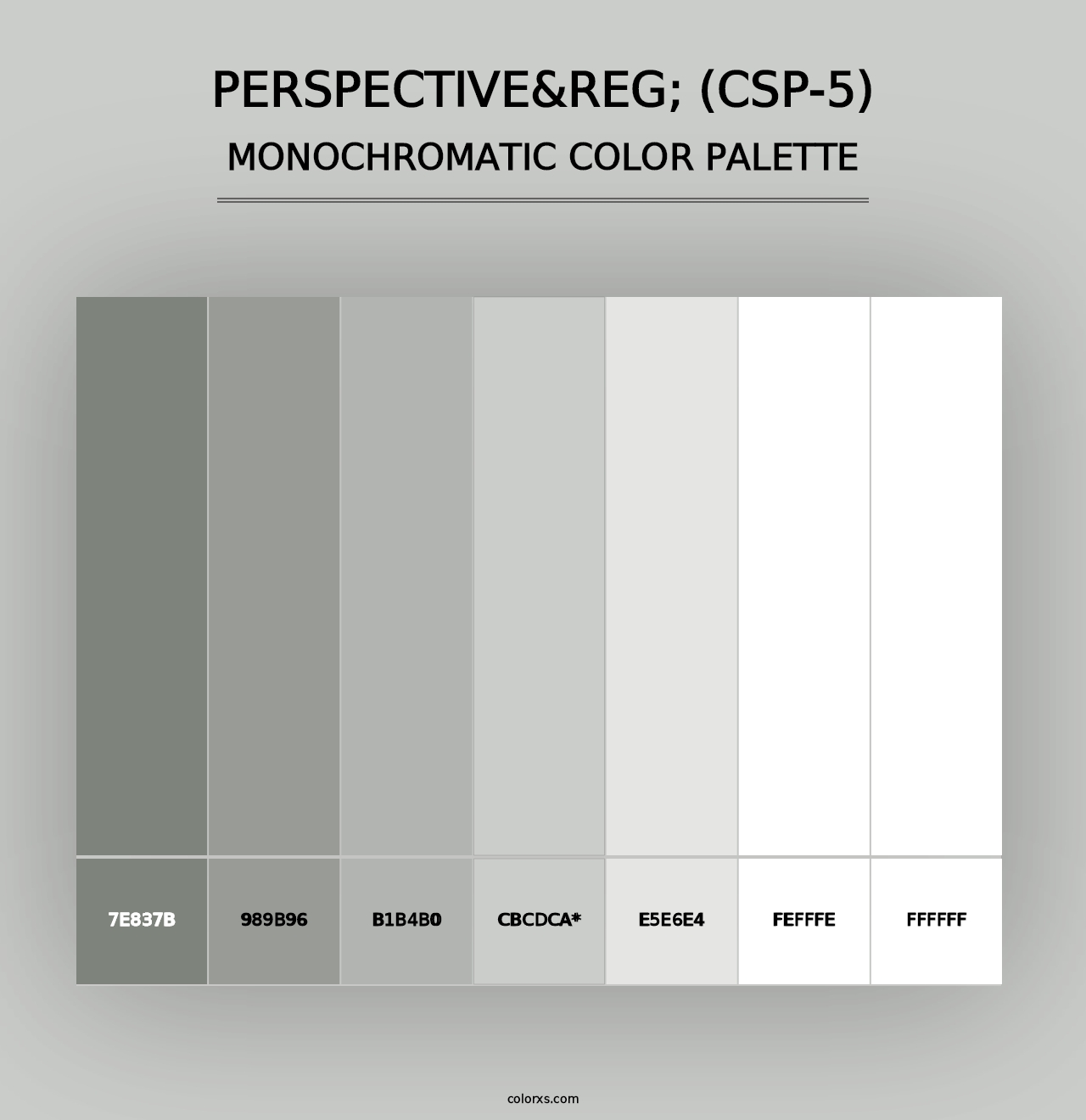 Perspective&reg; (CSP-5) - Monochromatic Color Palette